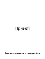 APPLE MacBook Pro Retina 13 (2012)