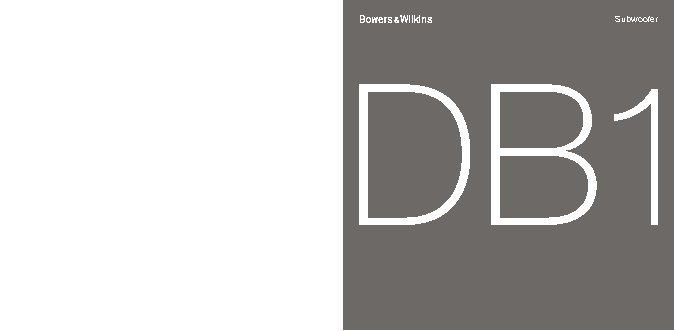 B&W Diamond DB1 D3