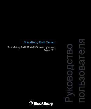 RIM BlackBerry Bold 9930