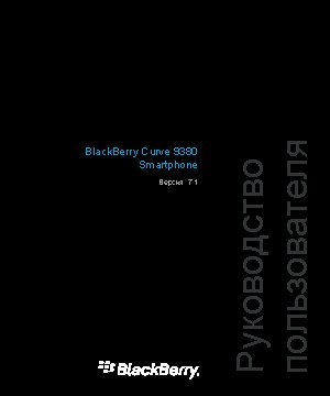 RIM BlackBerry Curve 9380