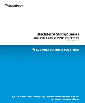 RIM BlackBerry Storm 9500