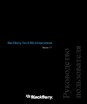 RIM BlackBerry Torch 9810