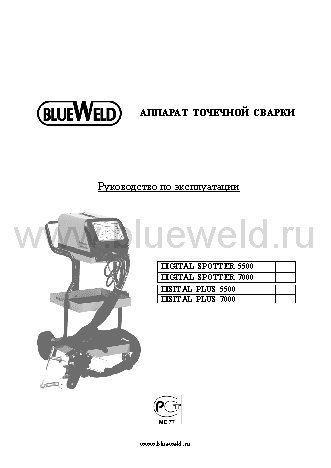 BLUEWELD Digital plus 5500 (380V)