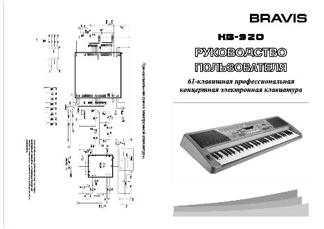 BRAVIS KB-920