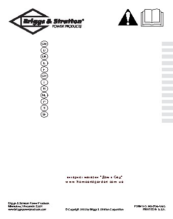 BRIGGS & STRATTON ProMax 6000 A