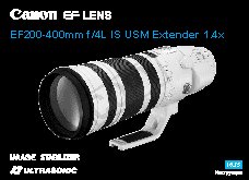 CANON EF 200-400mm f/4l IS USM Extender 1.4x