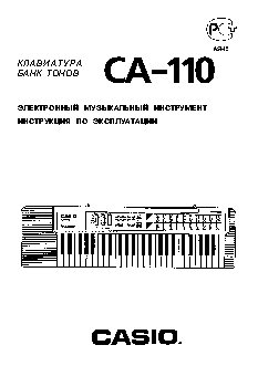 CASIO CA-110