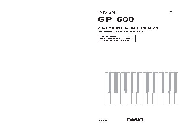 CASIO GP-500