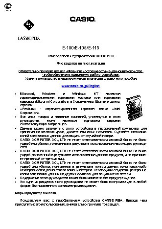 CASIO по модулю E100