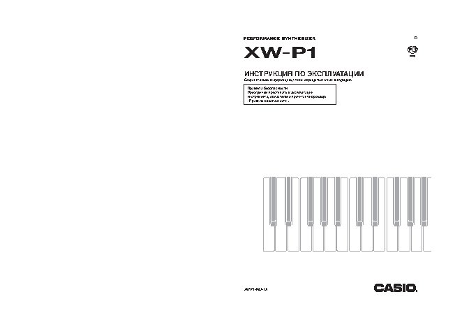CASIO XW-P1