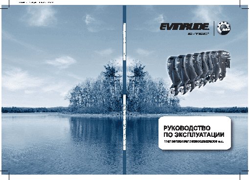 EVINRUDE 175 л.с (2014)