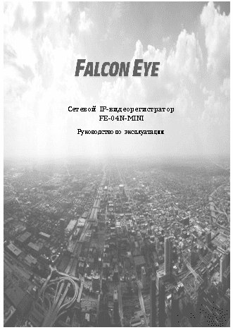 FALCON EYE FE-04N-MINI