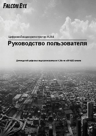 FALCON EYE Защита