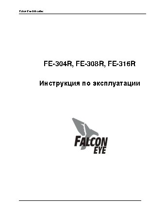FALCON EYE FE-304R