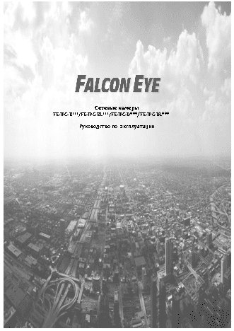 FALCON EYE FE-IPC-DWL200P