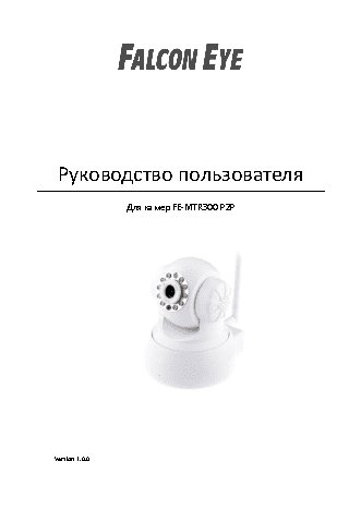 FALCON EYE FE-MTR300-P2P