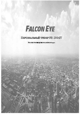 FALCON EYE FE-200GT