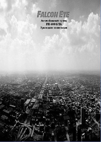 FALCON EYE FE-600GTA
