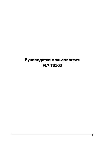 FLY TS100