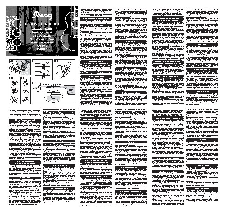 IBANEZ Acoustic Guitars