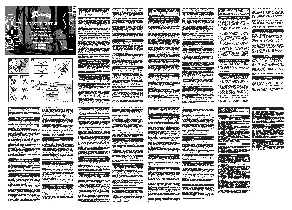 IBANEZ Acoustic Guitars (2007)