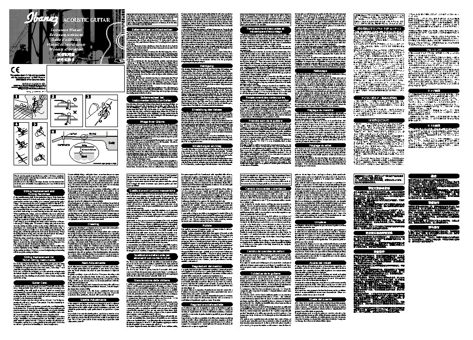 IBANEZ Acoustic Guitars (2010)