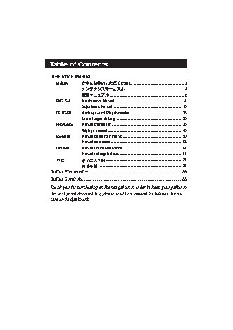 IBANEZ Electric Guitars (2008)