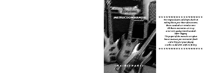 IBANEZ Maintenance