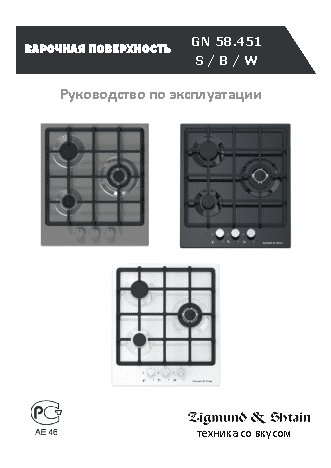 ZIGMUND SHTAIN GN 58.451 W