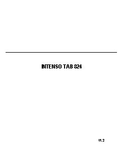 INTENSO 8 TAB 824
