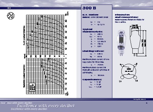 JJ ELECTRONIC 300B (matched)
