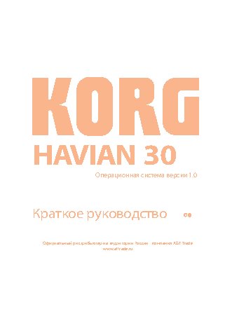 KORG HAVIAN 30