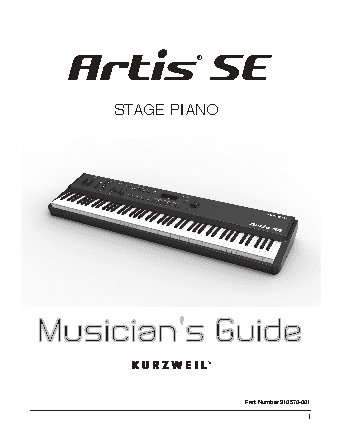 KURZWEIL ARTIS SE