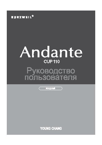 KURZWEIL CUP110 BP Andante