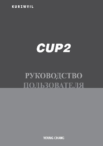 KURZWEIL CUP-2 BP