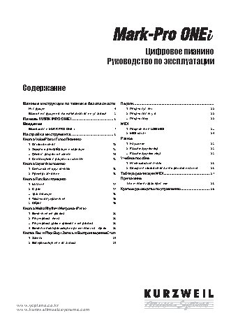 KURZWEIL Mark Pro ONEi F(BP)