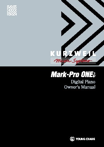 KURZWEIL Mark Pro ONEi S
