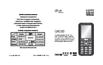 LG GM200