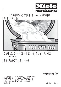 MIELE PT 7137 WP Professional