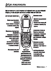 MOTOROLA V620