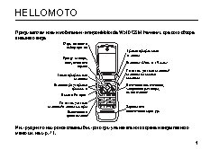 MOTOROLA W510