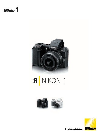 NIKON 1 V2 + 10-30mm + 30-110mm