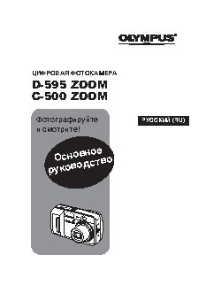 OLYMPUS D-595 Zoom