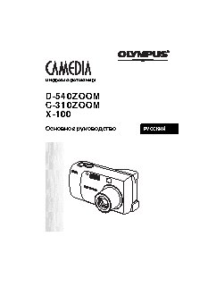 OLYMPUS X-100