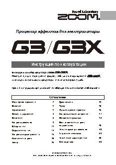 ZOOM G3X
