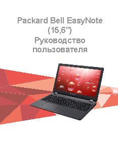 PACKARD BELL EasyNote TG81BA (NX.C3YER.008 )