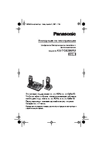 PANASONIC KX-TG8286RUT