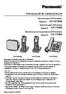 PANASONIC KX-TGP600RUB