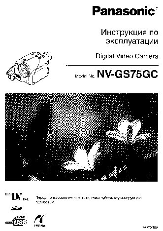 PANASONIC NV-GS75GC