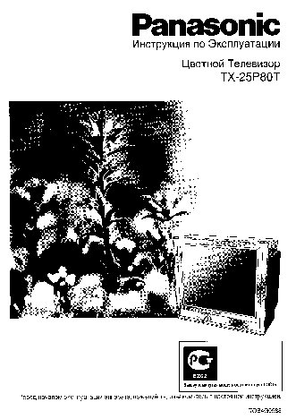 PANASONIC TX-25P80T